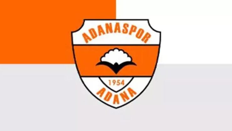 Adanaspor'un hisseleri Ergin Göleli'ye geçti